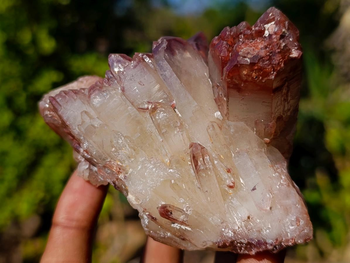 Natural Red Hematoid Quartz Crystals x 6 From Karoi, Zimbabwe