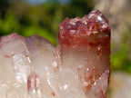 Natural Red Hematoid Quartz Crystals x 6 From Karoi, Zimbabwe