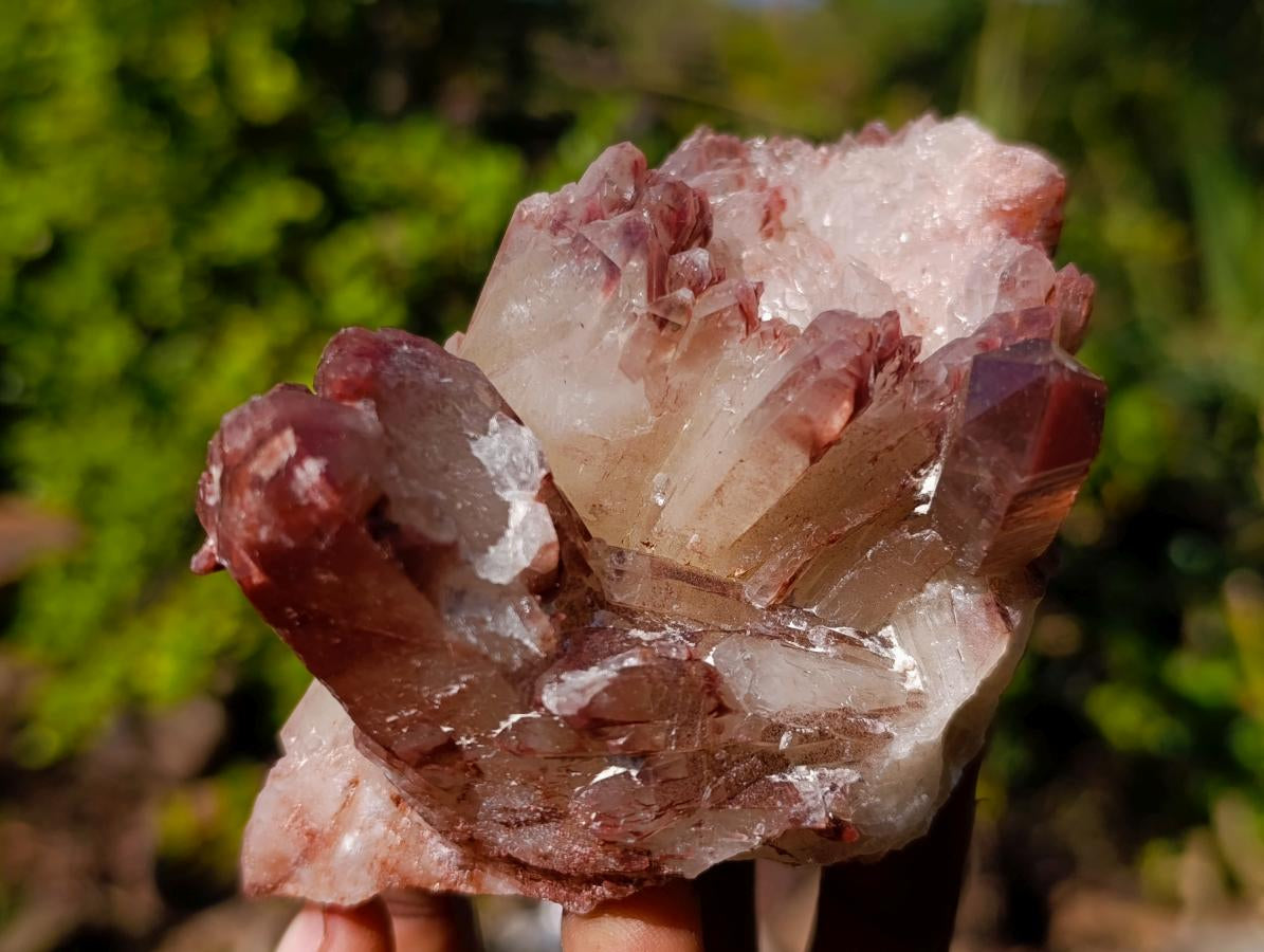 Natural Red Hematoid Quartz Crystals x 6 From Karoi, Zimbabwe