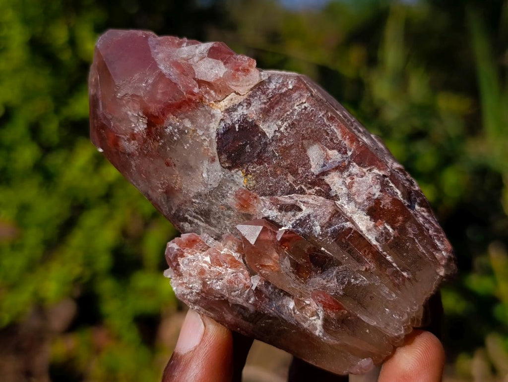 Natural Red Hematoid Quartz Crystals x 6 From Karoi, Zimbabwe