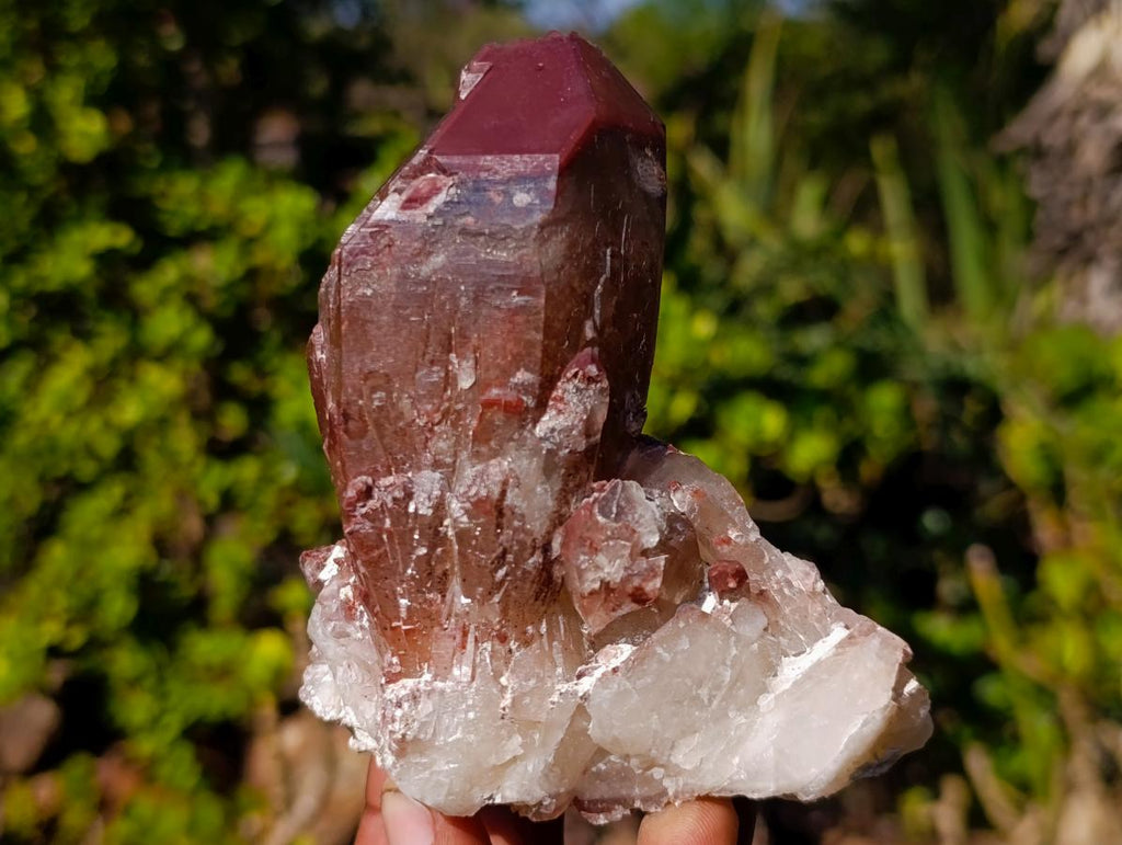 Natural Red Hematoid Quartz Crystals x 6 From Karoi, Zimbabwe
