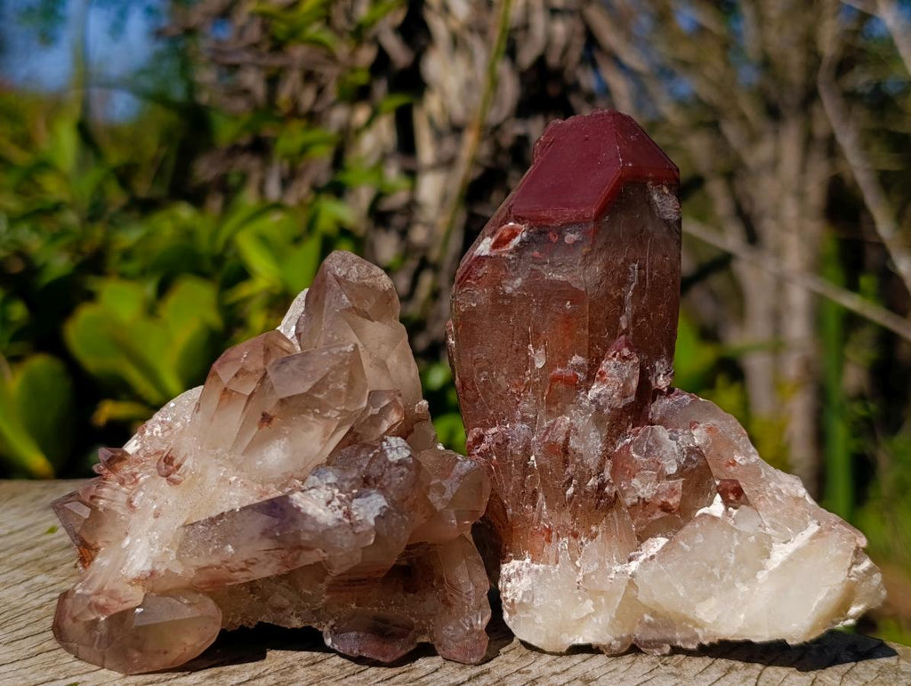 Natural Red Hematoid Quartz Crystals x 6 From Karoi, Zimbabwe