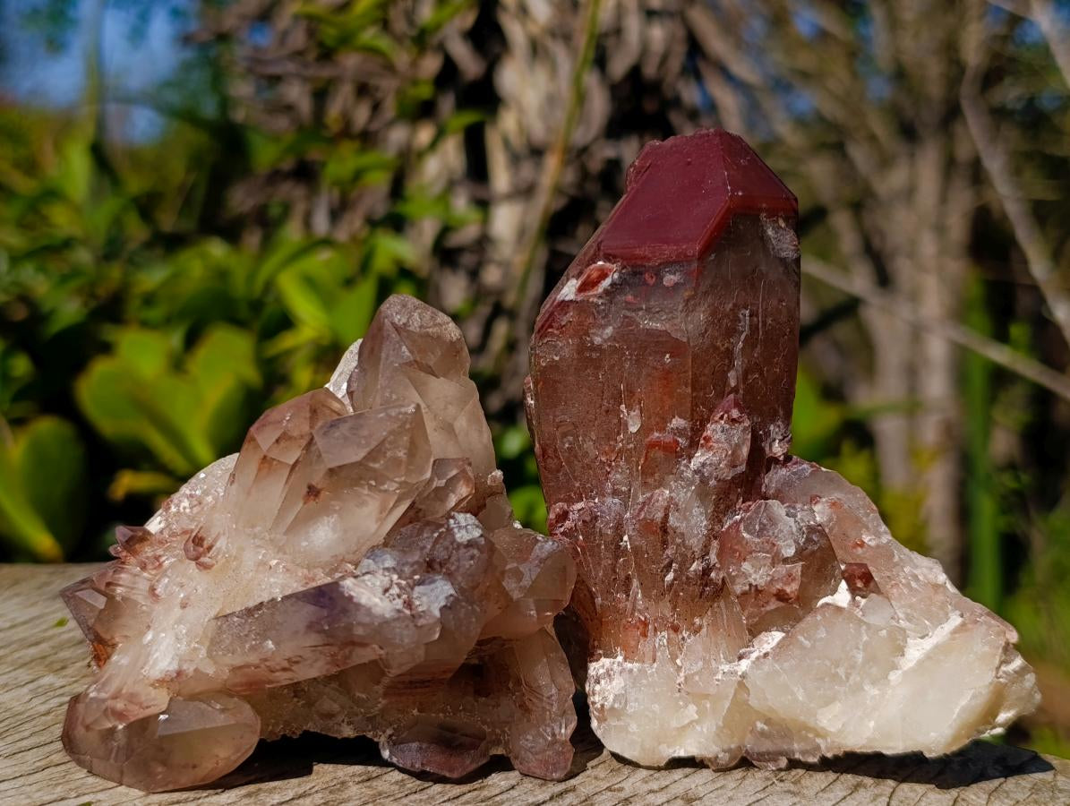 Natural Red Hematoid Quartz Crystals x 6 From Karoi, Zimbabwe