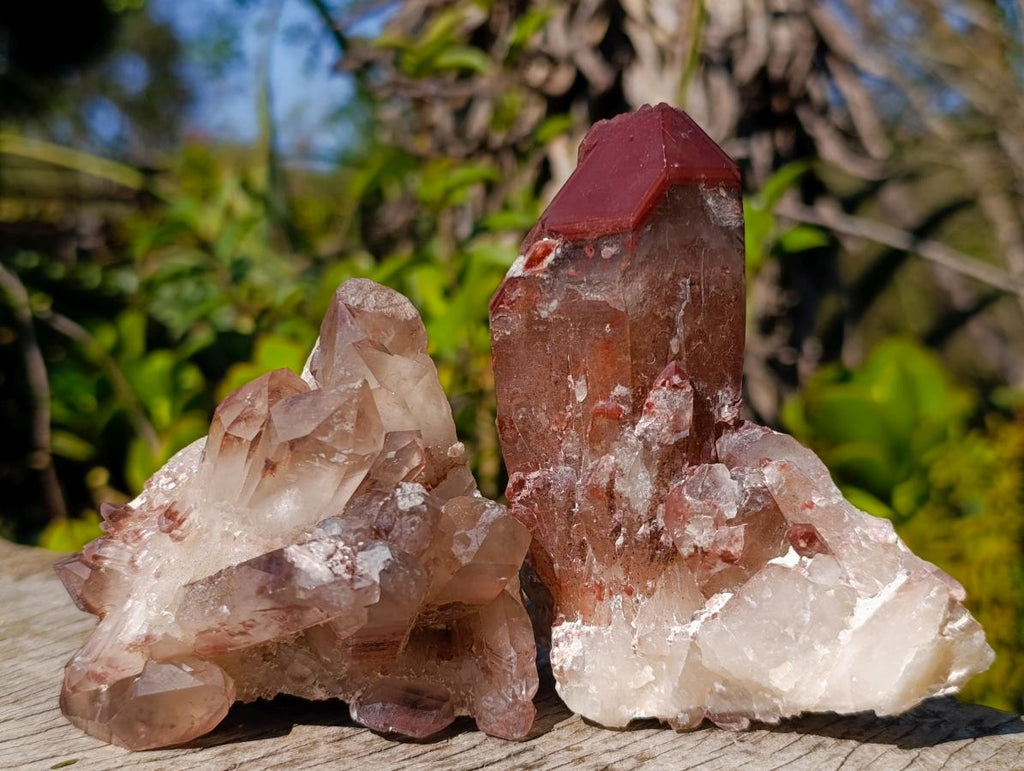Natural Red Hematoid Quartz Crystals x 6 From Karoi, Zimbabwe