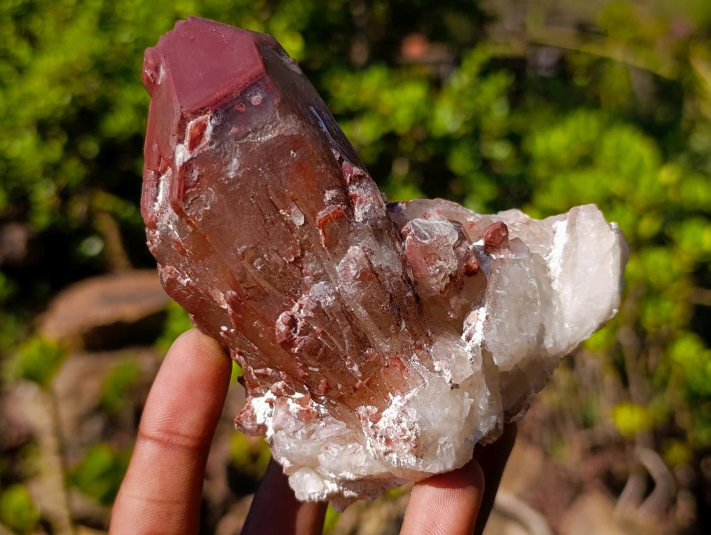Natural Red Hematoid Quartz Crystals x 6 From Karoi, Zimbabwe