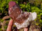 Natural Red Hematoid Quartz Crystals x 6 From Karoi, Zimbabwe