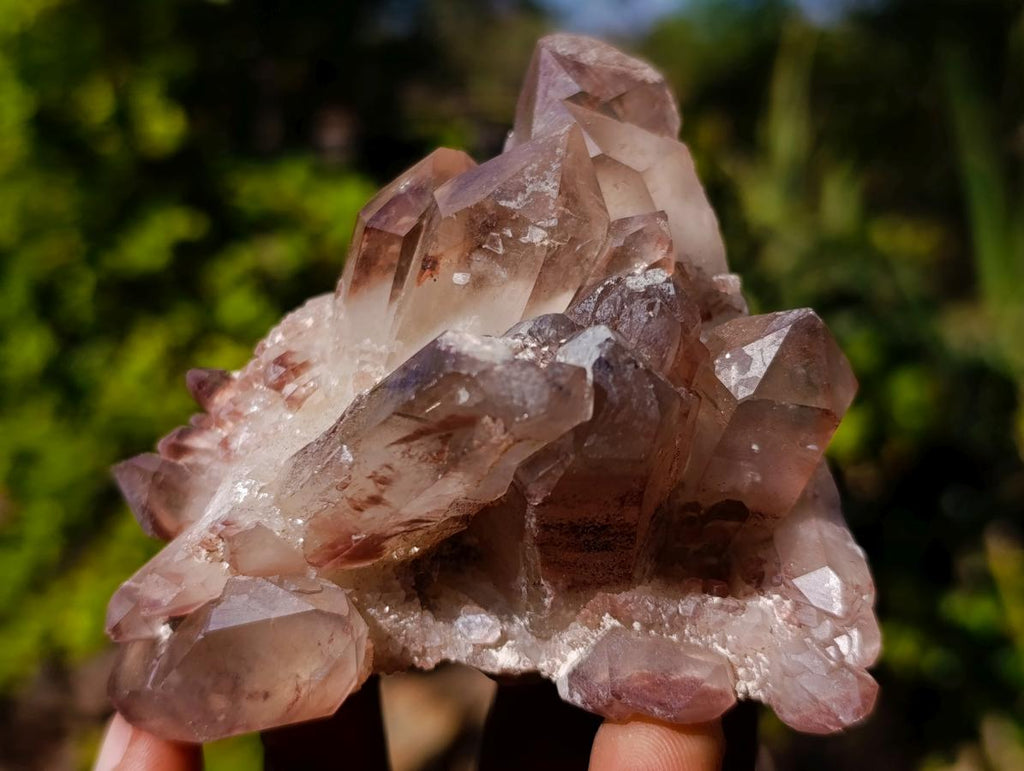 Natural Red Hematoid Quartz Crystals x 6 From Karoi, Zimbabwe