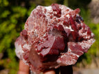 Natural Red Hematoid Quartz Crystals x 6 From Karoi, Zimbabwe