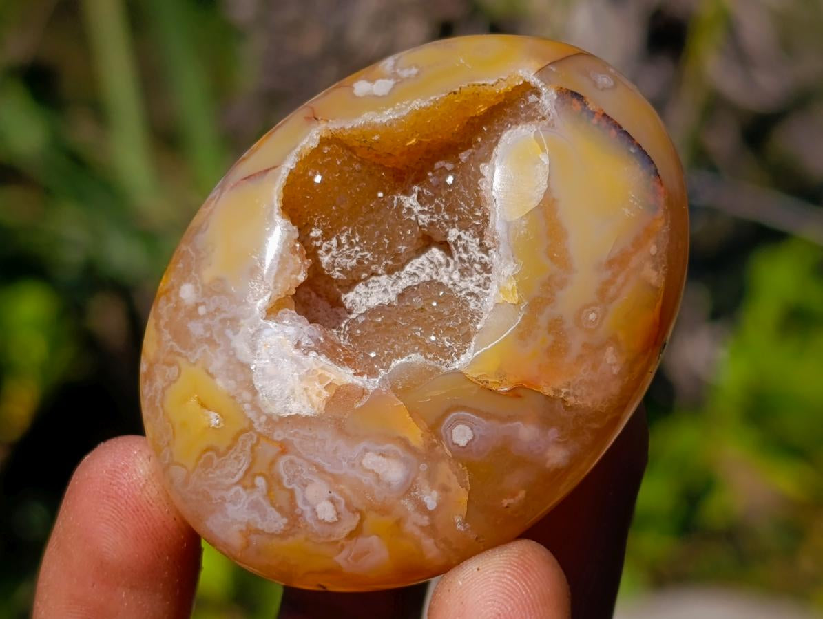 Polished Flower Agate Palm Stones x 12 From Antsahalova, Madagascar