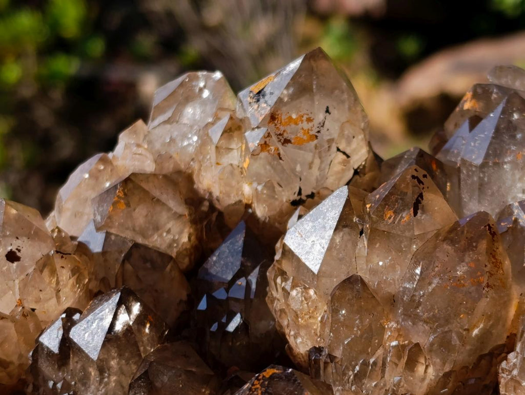 Natural XL Dark Smokey Quartz Cluster x 1 From Luena, Congo