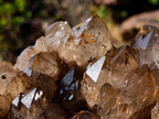 Natural XL Dark Smokey Quartz Cluster x 1 From Luena, Congo