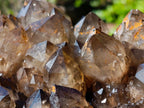 Natural XL Dark Smokey Quartz Cluster x 1 From Luena, Congo