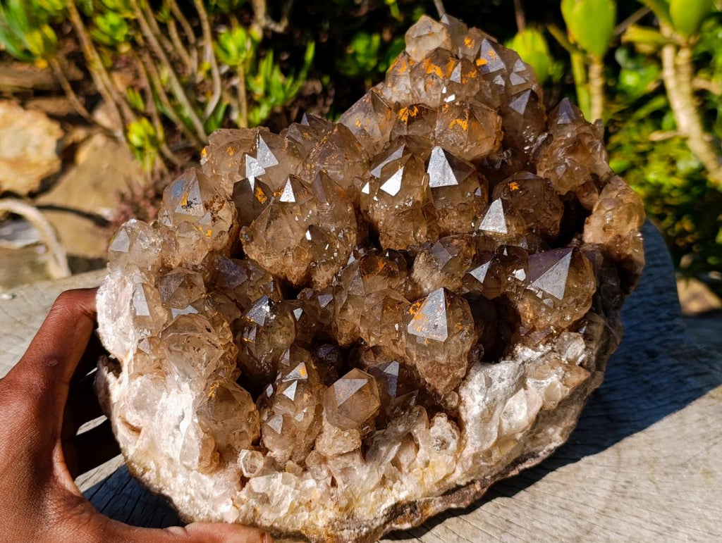 Natural XL Dark Smokey Quartz Cluster x 1 From Luena, Congo