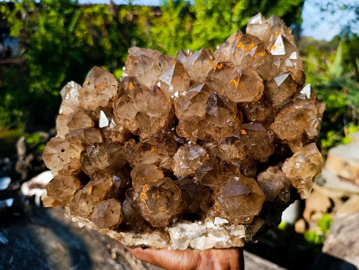 Natural XL Dark Smokey Quartz Cluster x 1 From Luena, Congo
