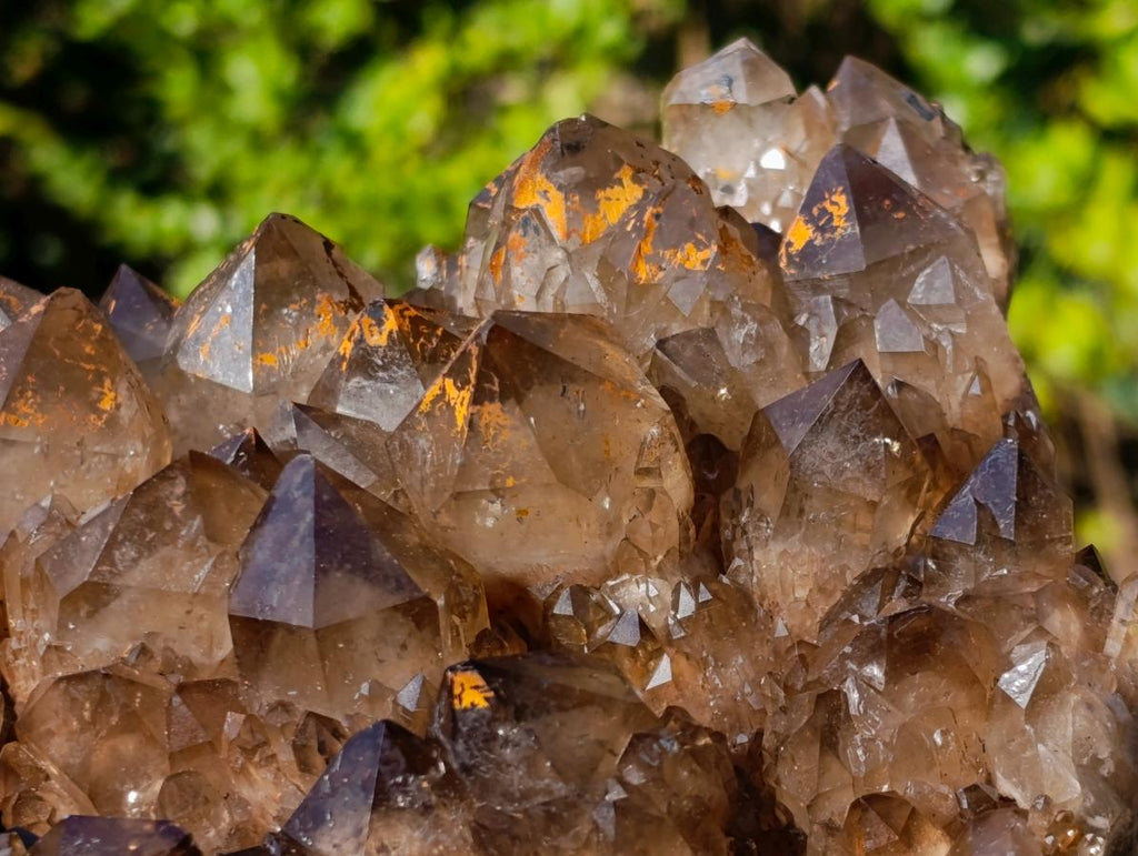 Natural XL Dark Smokey Quartz Cluster x 1 From Luena, Congo