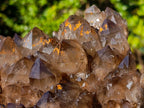 Natural XL Dark Smokey Quartz Cluster x 1 From Luena, Congo
