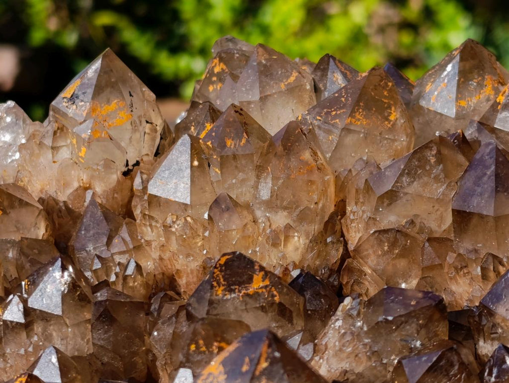 Natural XL Dark Smokey Quartz Cluster x 1 From Luena, Congo