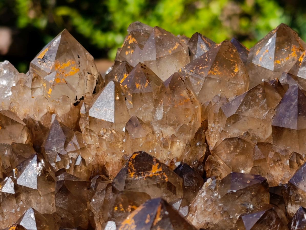 Natural XL Dark Smokey Quartz Cluster x 1 From Luena, Congo