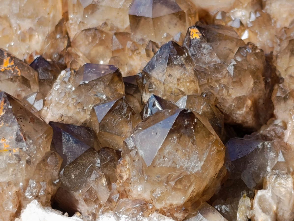 Natural XL Dark Smokey Quartz Cluster x 1 From Luena, Congo