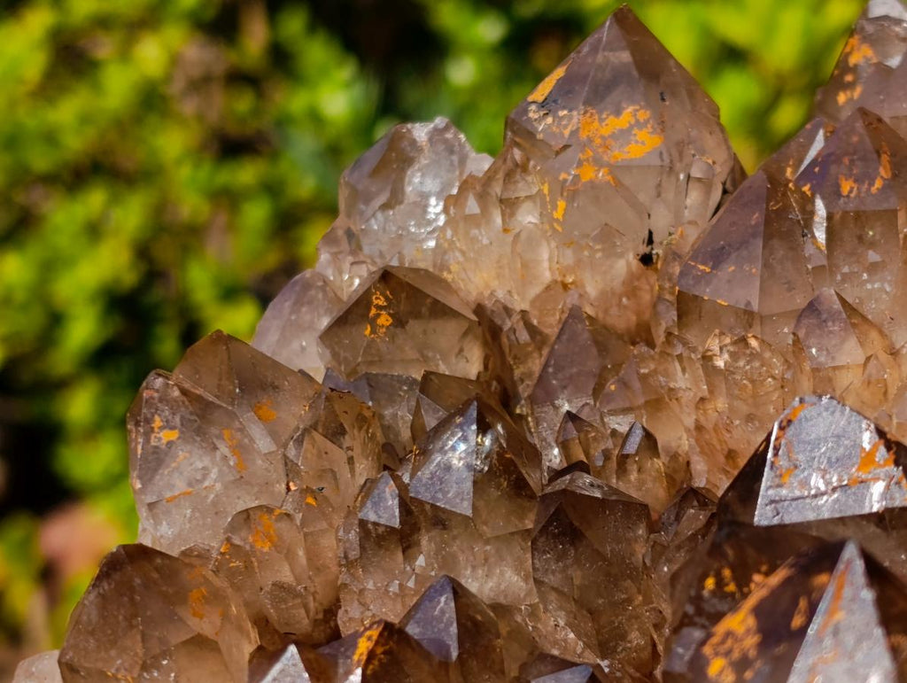 Natural XL Dark Smokey Quartz Cluster x 1 From Luena, Congo