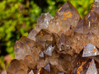 Natural XL Dark Smokey Quartz Cluster x 1 From Luena, Congo