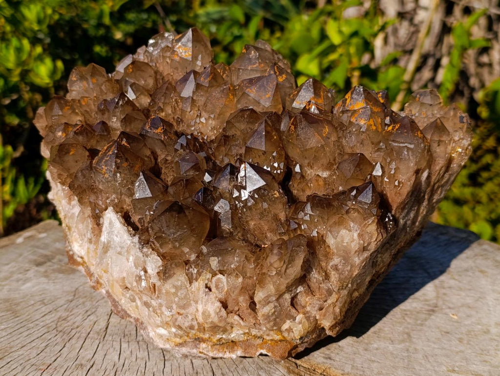 Natural XL Dark Smokey Quartz Cluster x 1 From Luena, Congo