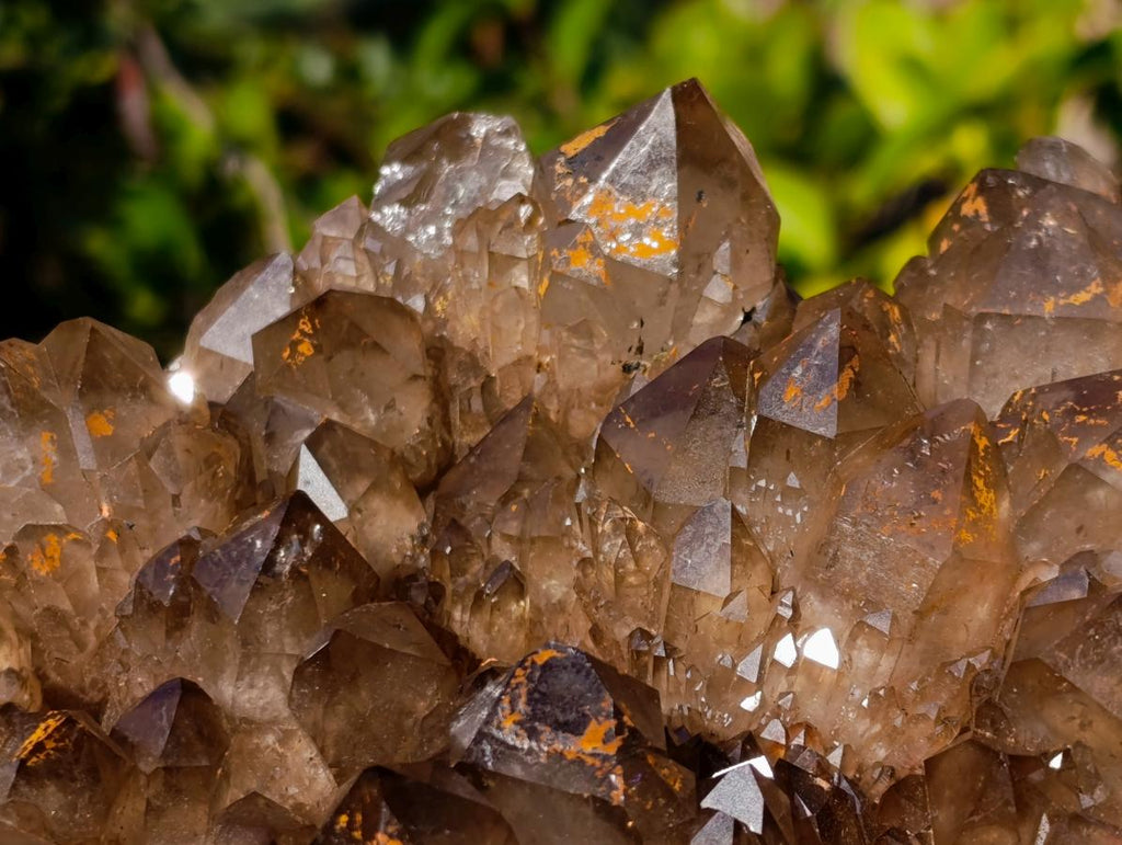 Natural XL Dark Smokey Quartz Cluster x 1 From Luena, Congo