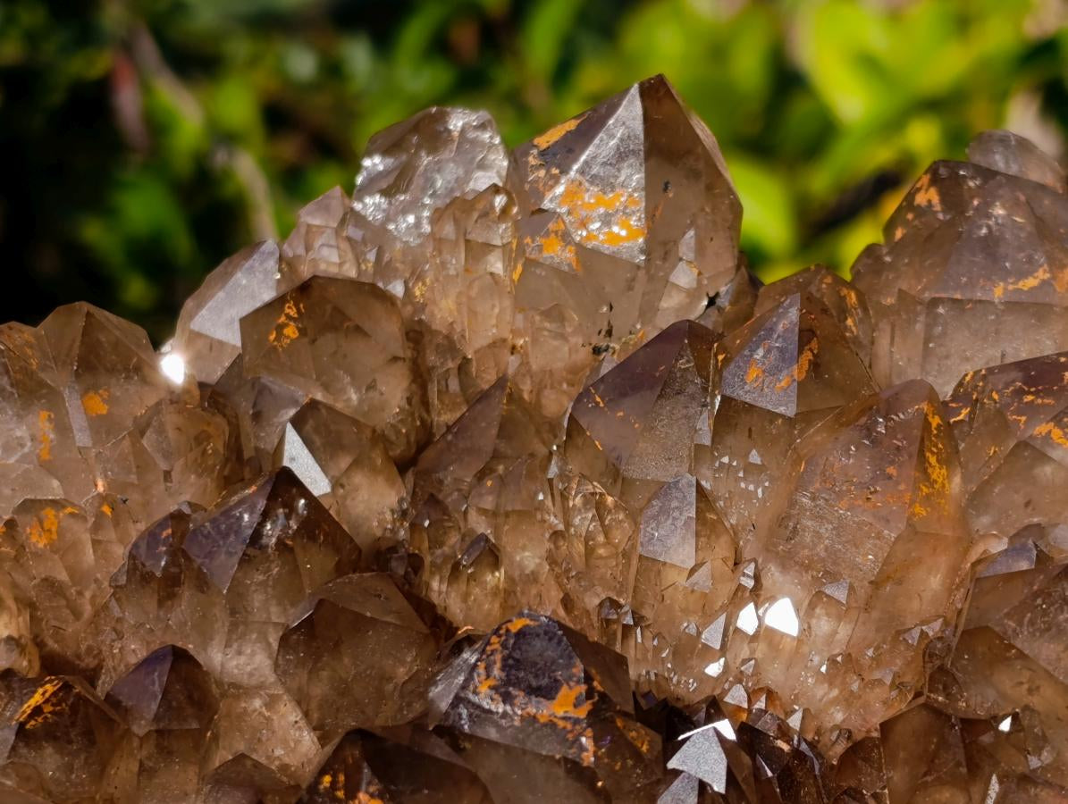 Natural XL Dark Smokey Quartz Cluster x 1 From Luena, Congo