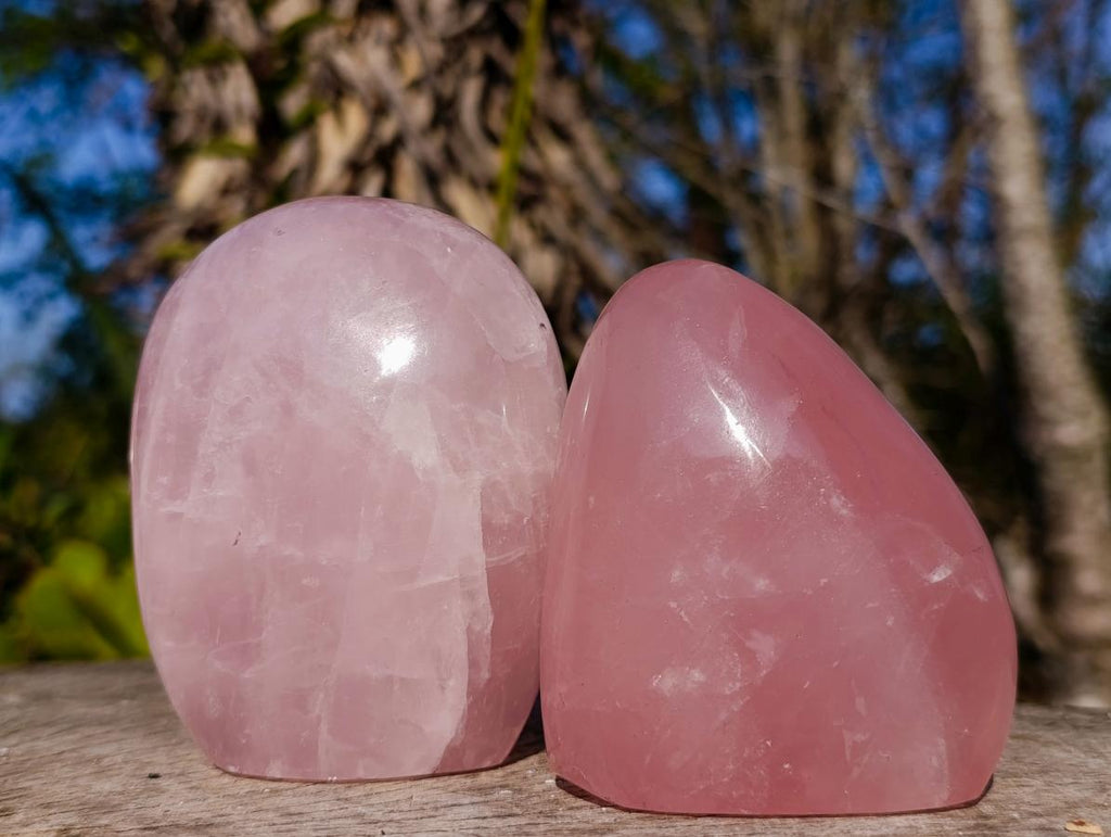 Polished Rose Quartz Standing Display Pieces x 6 From Zimbabwe