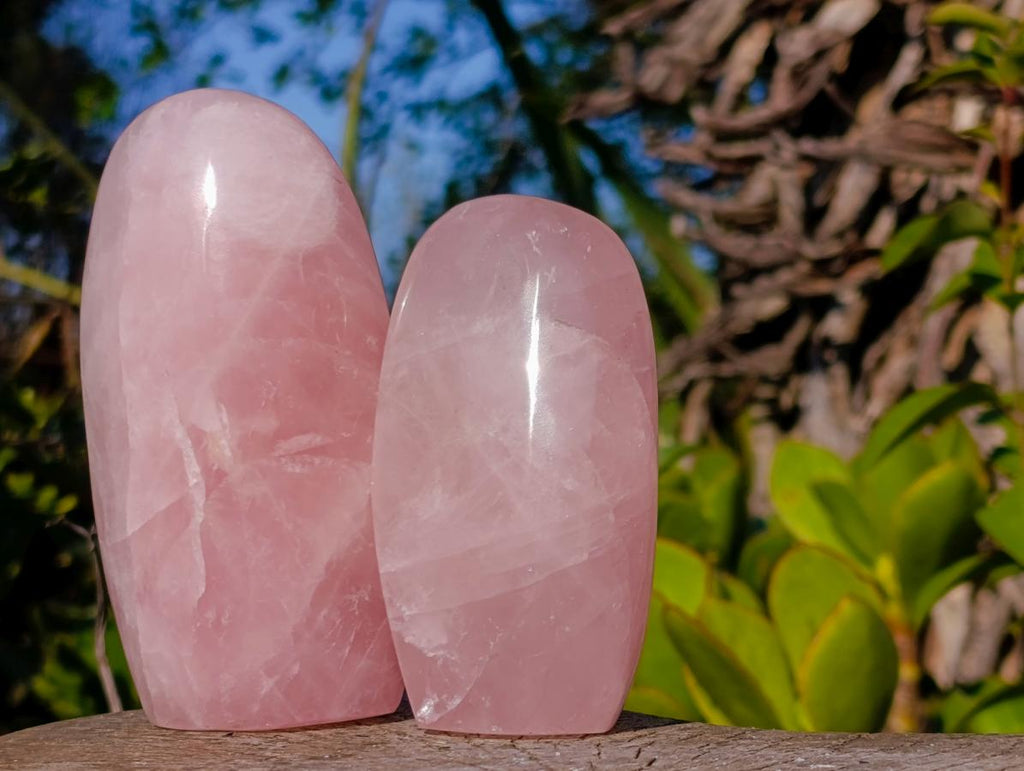 Polished Rose Quartz Standing Display Pieces x 6 From Zimbabwe