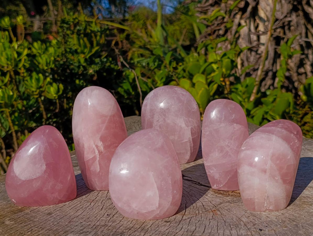 Polished Rose Quartz Standing Display Pieces x 6 From Zimbabwe