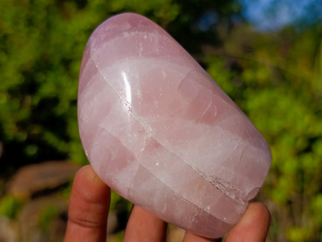 Polished Rose Quartz Standing Display Pieces x 6 From Zimbabwe