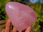 Polished Rose Quartz Standing Display Pieces x 6 From Zimbabwe
