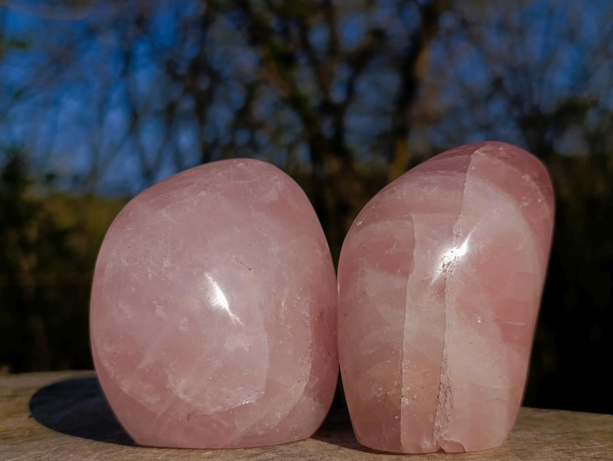 Polished Rose Quartz Standing Display Pieces x 6 From Zimbabwe