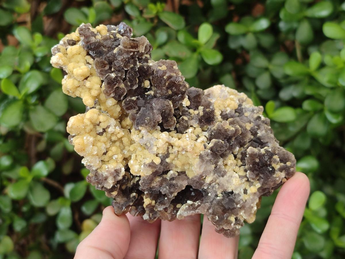 Natural Smokey Fluorite Specimens with Yellow Muscovite Mica x 2 From Erongo, Namibia