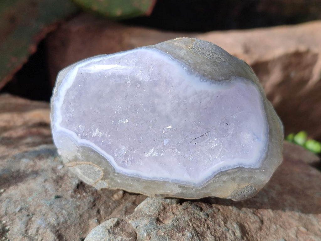 Polished One Side Blue Lace Agate Geodes x 12 From Nsanje, Malawi