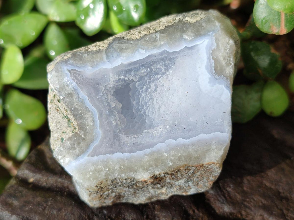 Polished One Side Blue Lace Agate Geodes x 12 From Nsanje, Malawi