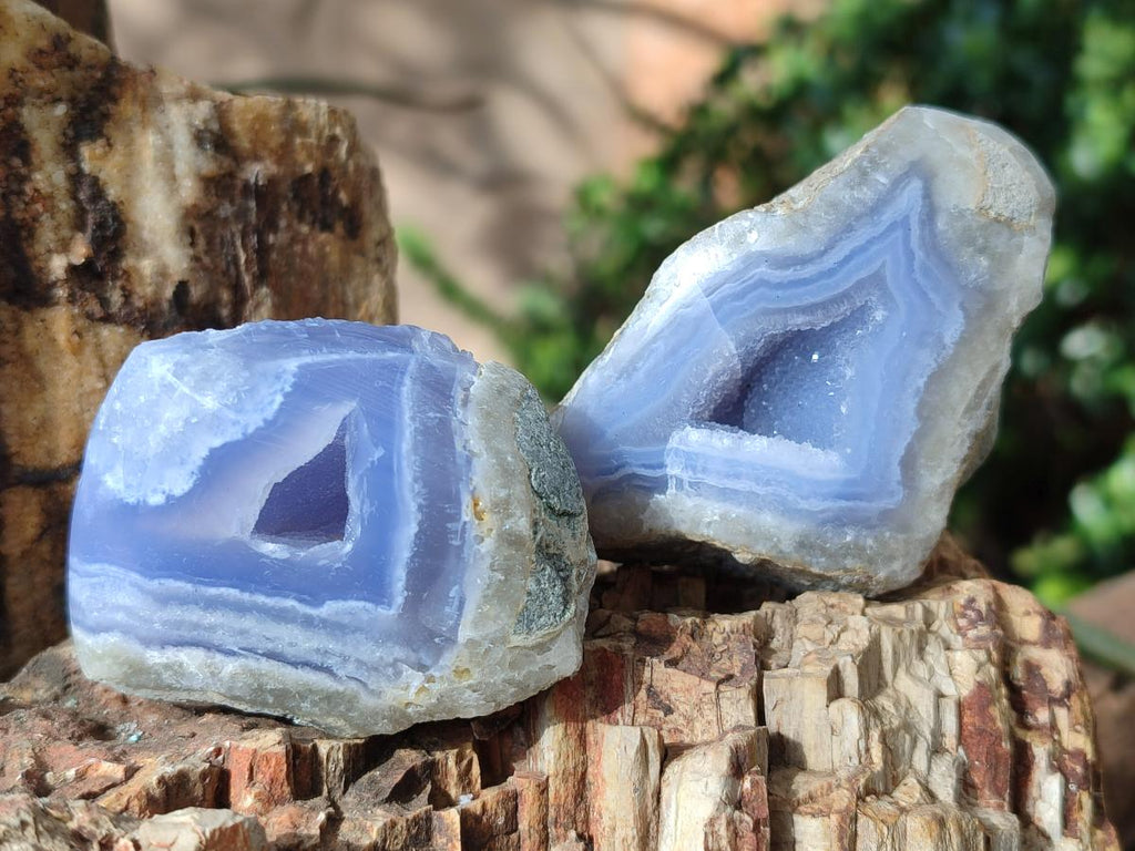 Polished One Side Blue Lace Agate Geodes x 12 From Nsanje, Malawi