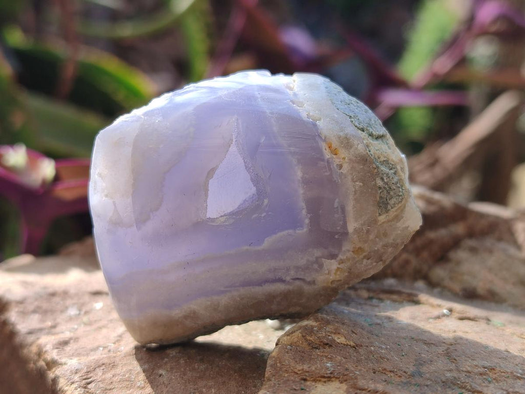 Polished One Side Blue Lace Agate Geodes x 12 From Nsanje, Malawi