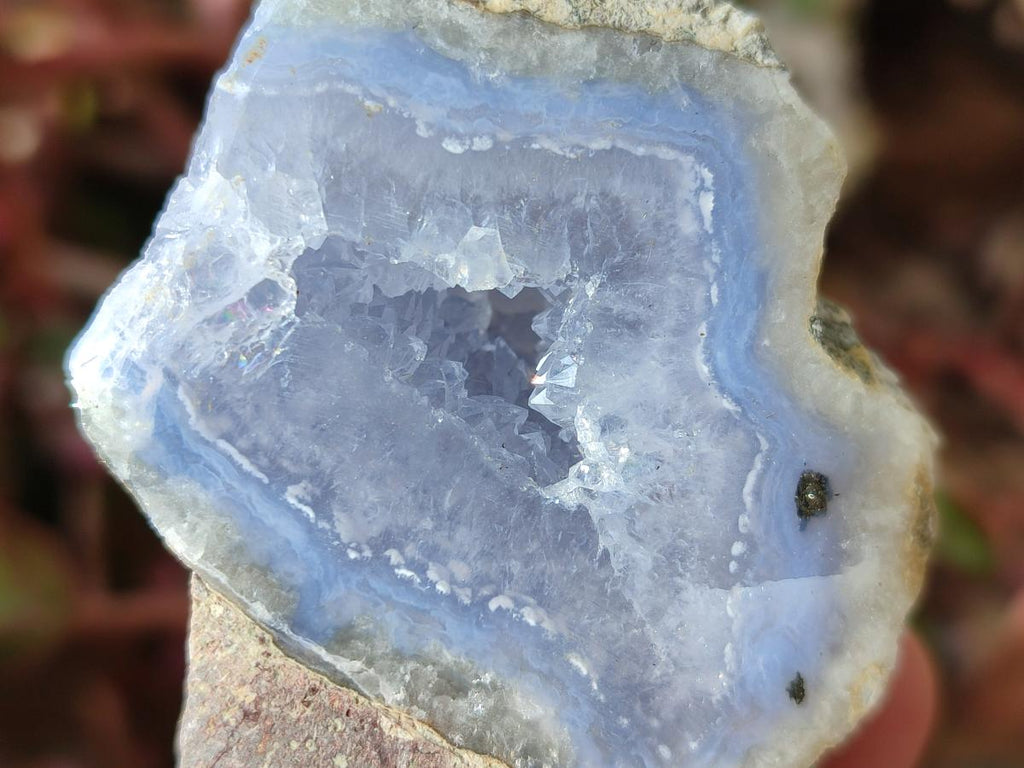 Polished One Side Blue Lace Agate Geodes x 12 From Nsanje, Malawi