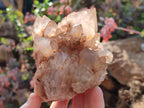 Natural Cascading White Phantom Smokey Luena Quartz Clusters x 2 From Luena, Congo