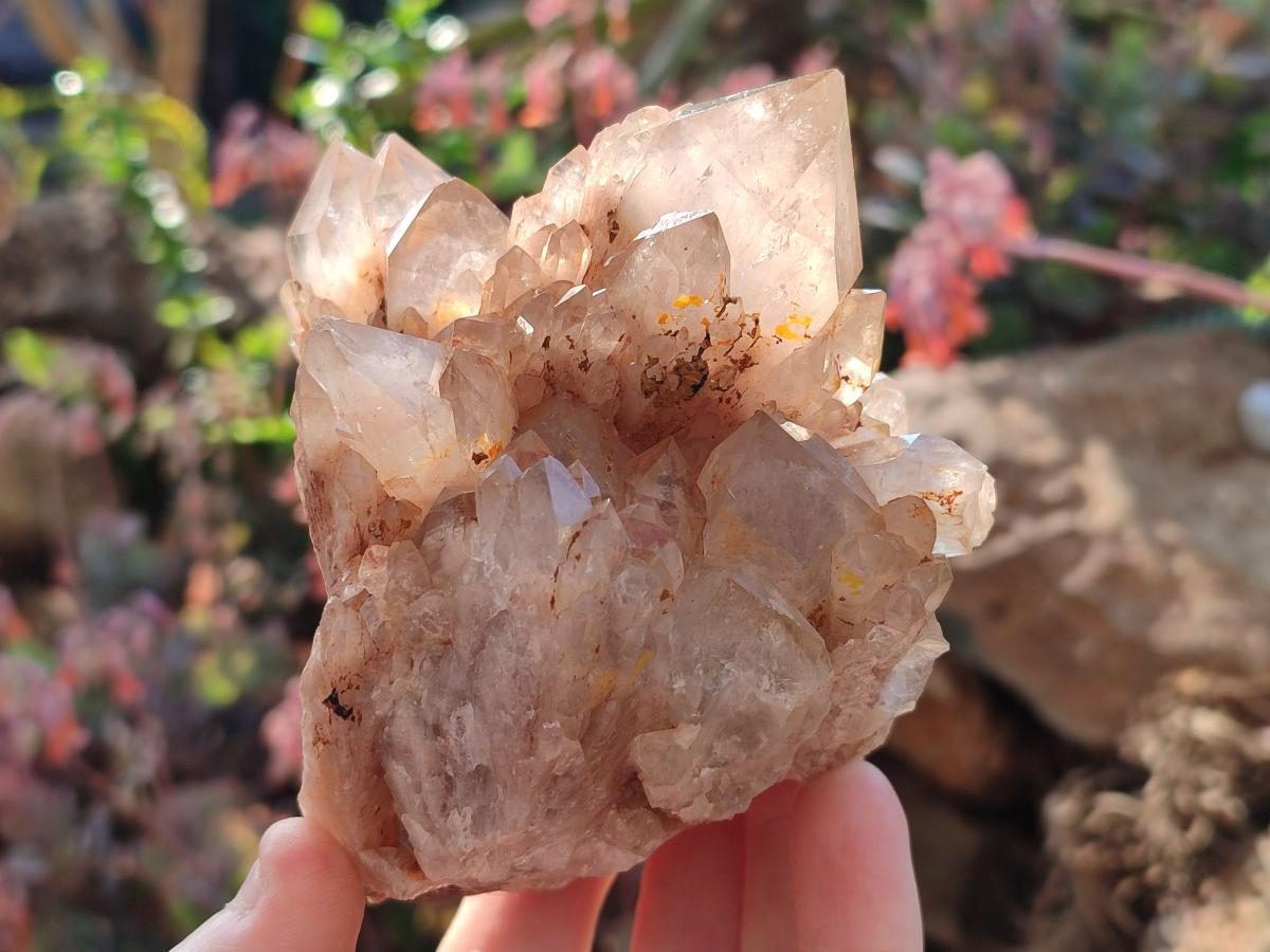 Natural Cascading White Phantom Smokey Luena Quartz Clusters x 2 From Luena, Congo