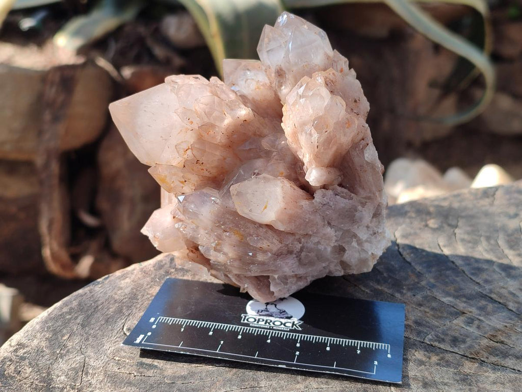Natural Cascading White Phantom Smokey Luena Quartz Clusters x 2 From Luena, Congo