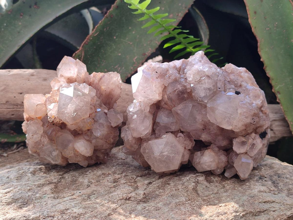 Natural Cascading White Phantom Smokey Luena Quartz Clusters x 2 From Luena, Congo