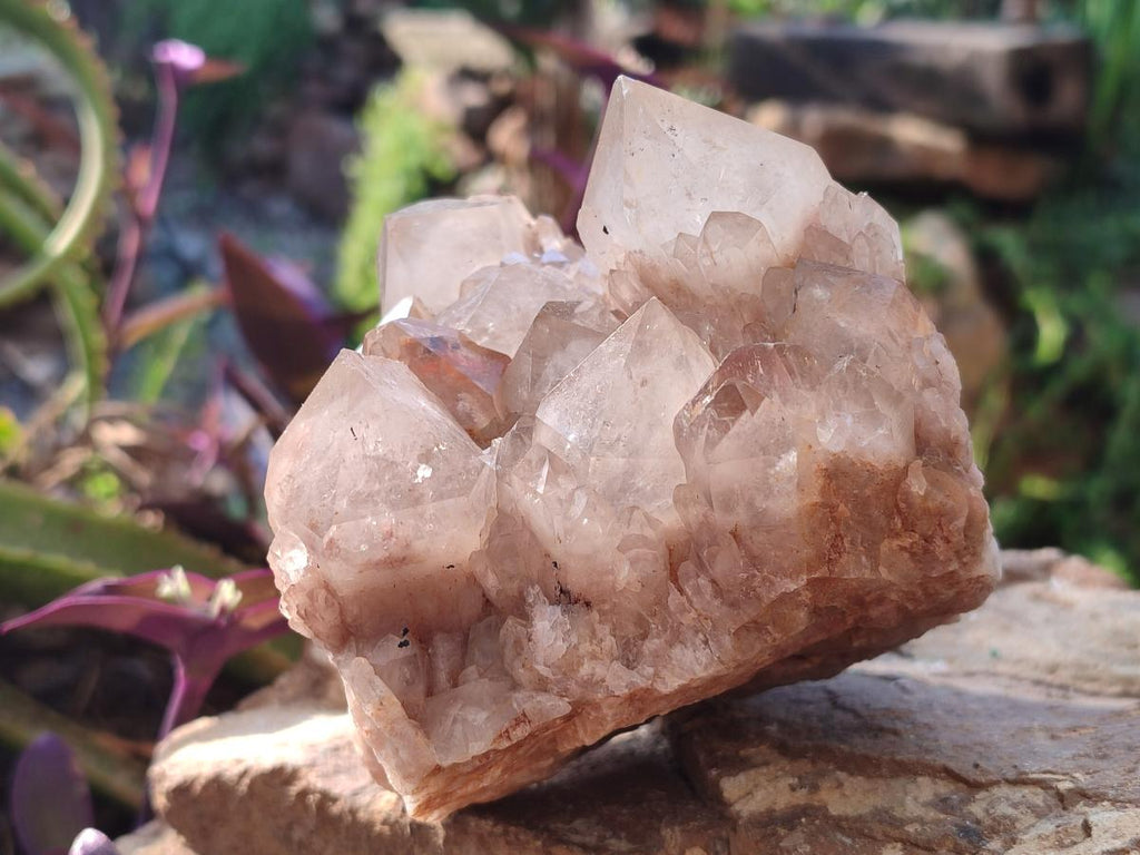 Natural Cascading White Phantom Smokey Luena Quartz Clusters x 2 From Luena, Congo