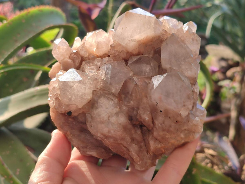 Natural Cascading White Phantom Smokey Luena Quartz Clusters x 2 From Luena, Congo
