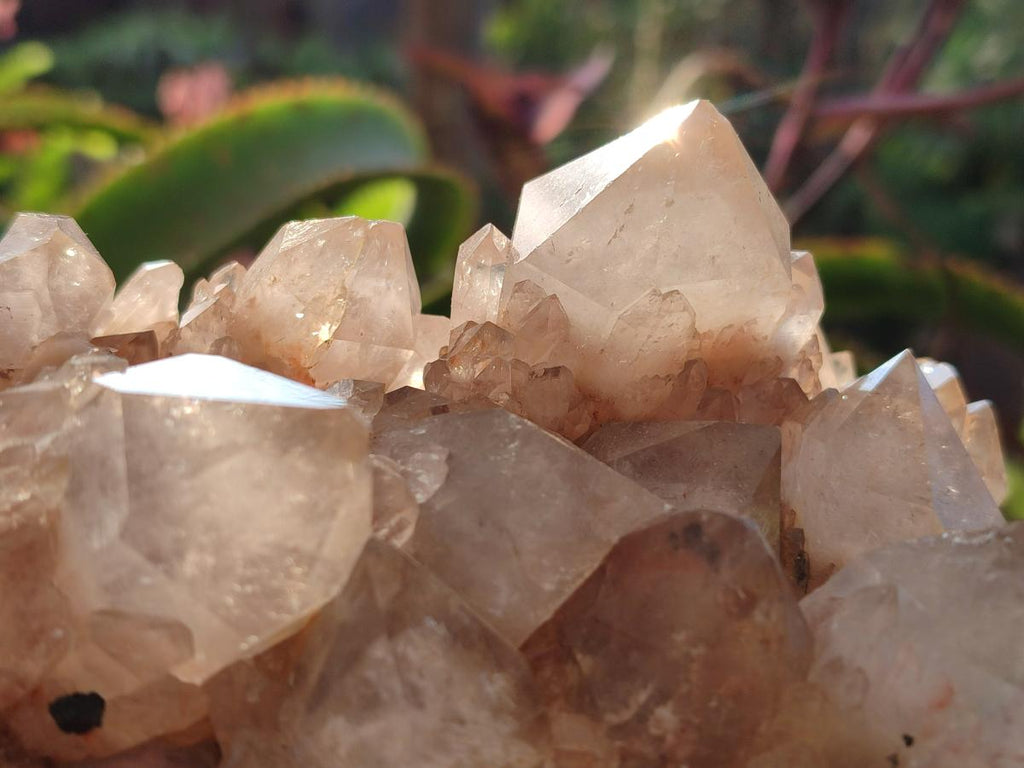 Natural Cascading White Phantom Smokey Luena Quartz Clusters x 2 From Luena, Congo
