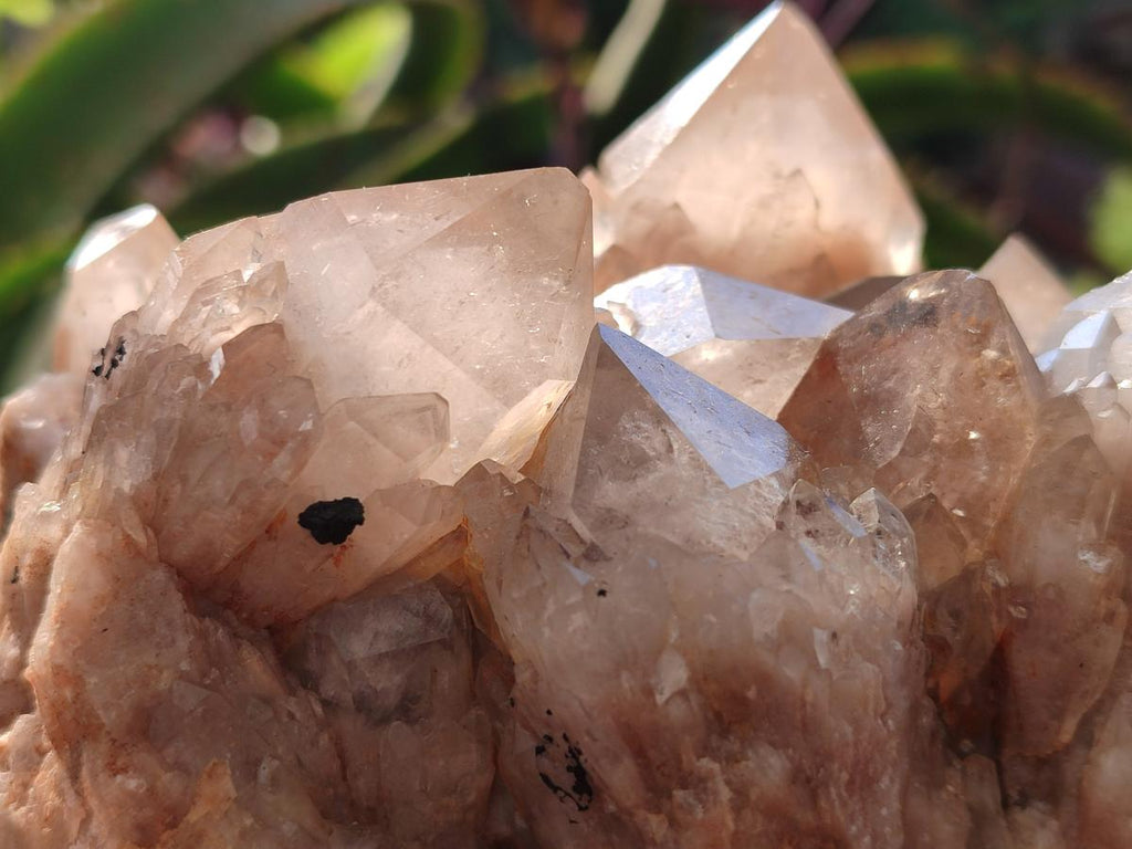 Natural Cascading White Phantom Smokey Luena Quartz Clusters x 2 From Luena, Congo