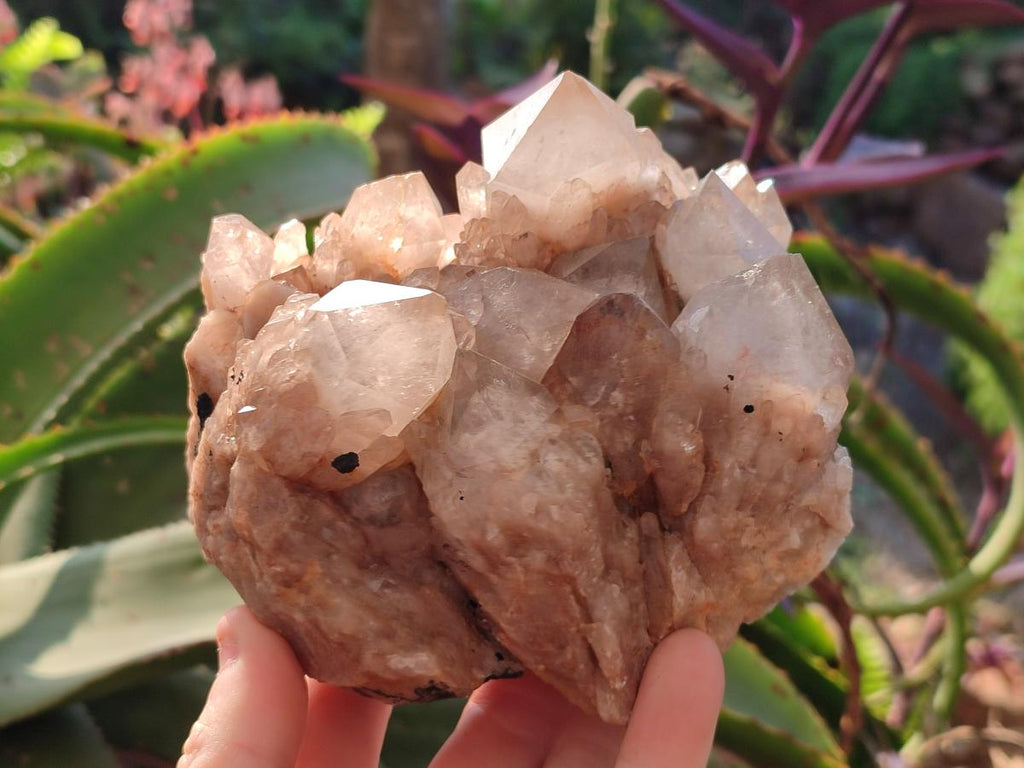Natural Cascading White Phantom Smokey Luena Quartz Clusters x 2 From Luena, Congo