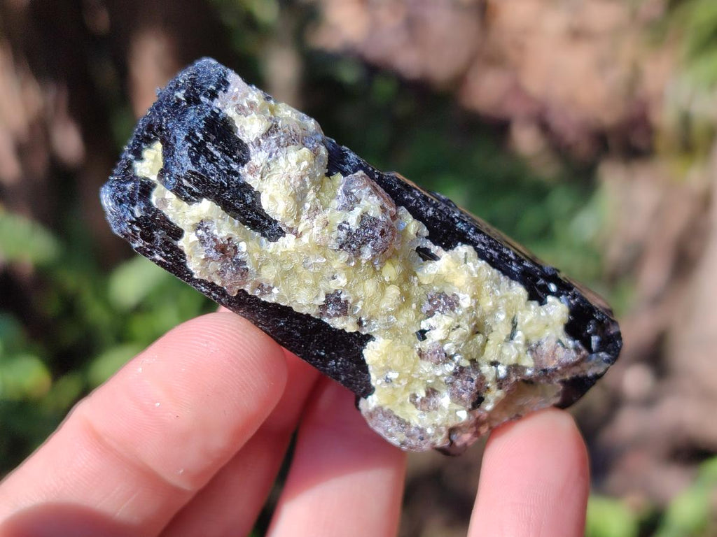 Natural Schorl Black Tourmaline Specimens x 12 From Erongo, Namibia